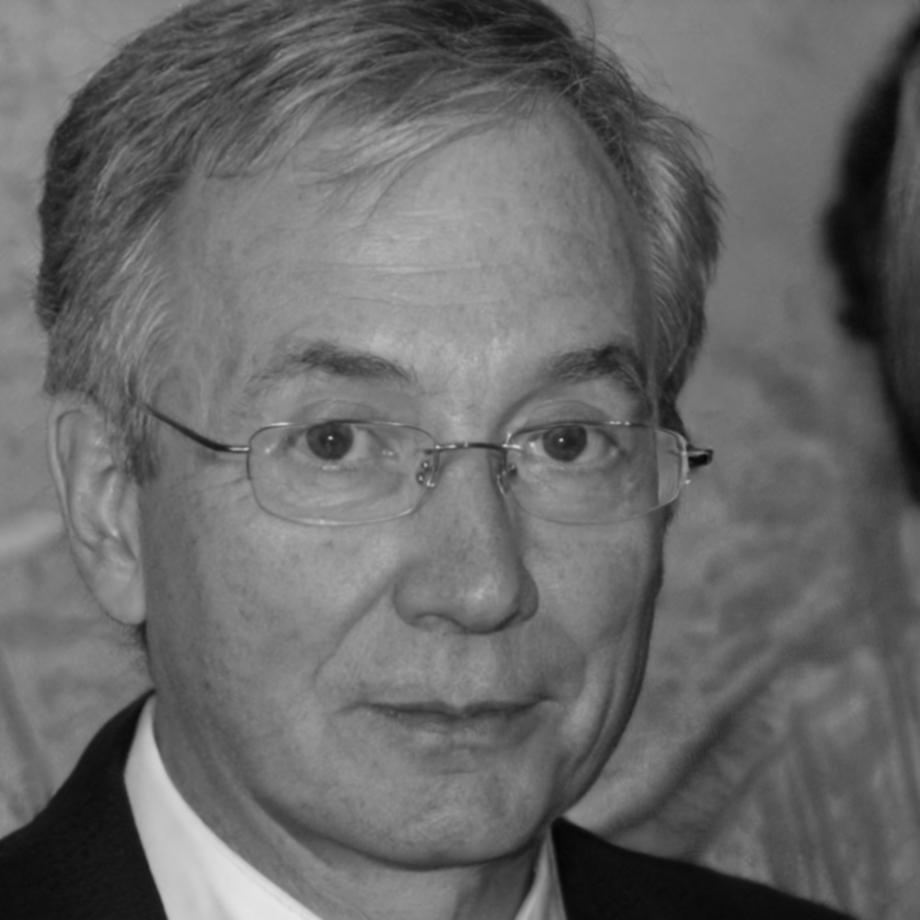 Радмир Сулейменов, ведущий аналитик